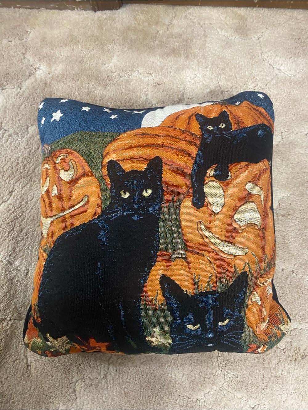 Halloween Black Cat & Pumpkin Accent Pillow - Festive Tapestry